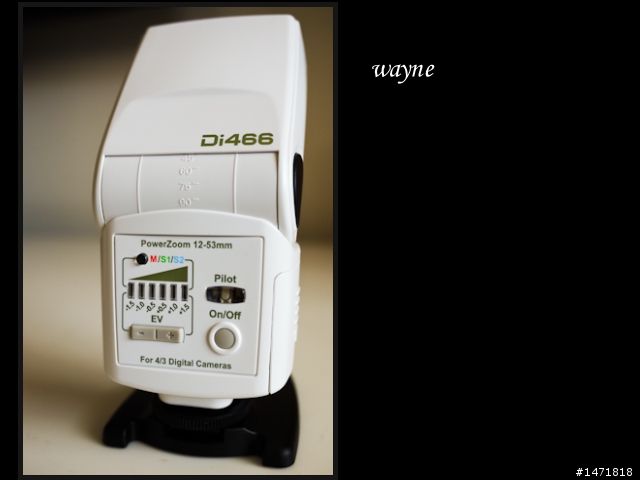 GF1 with di466 for m4/3