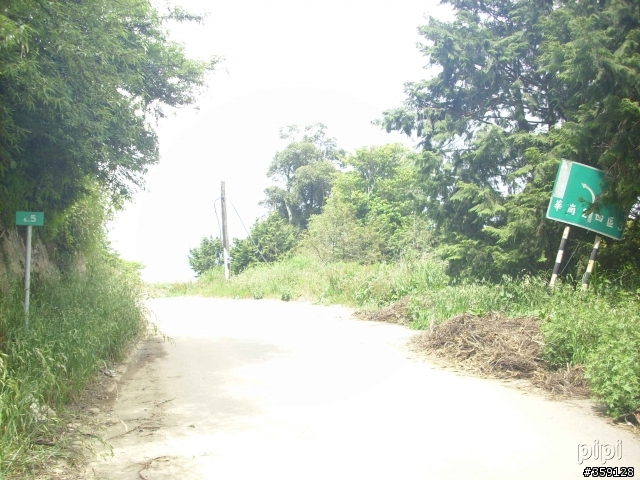 2010-05-22 地獄鄉道 投89 力行產業道路