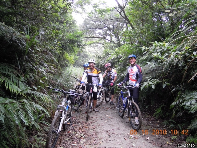 不一樣的週日五指山巡山記....