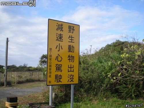 0501圓點盃-墾丁瘋狂大賽車-完成