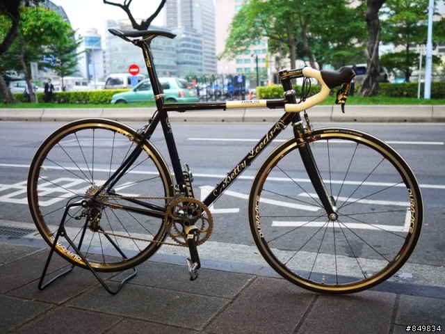 【組車】德國Fixie betty leeds 古典鋼管車