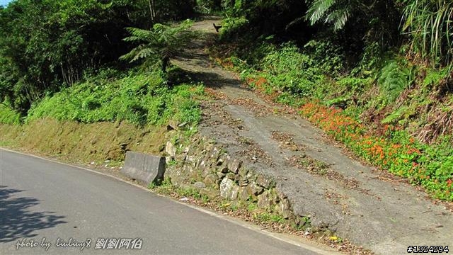 桃源谷-草嶺古道啞口越嶺