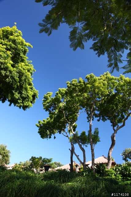 看見'峇里島'的湛藍!..歡迎各位分享鏡頭下的藍天綠地
