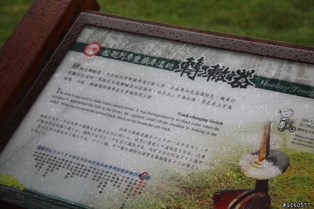 追尋夢土,騎向洄瀾(花蓮)單車之旅