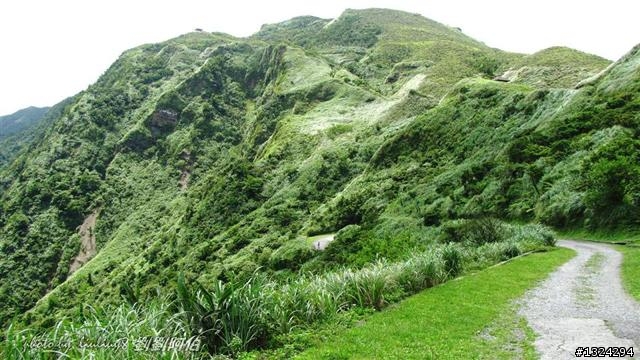 桃源谷-草嶺古道啞口越嶺