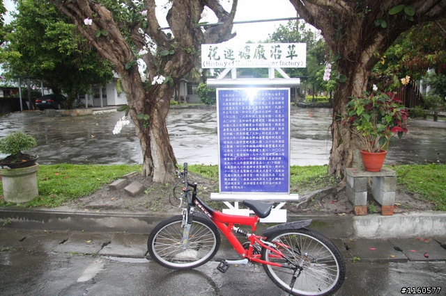 追尋夢土,騎向洄瀾(花蓮)單車之旅