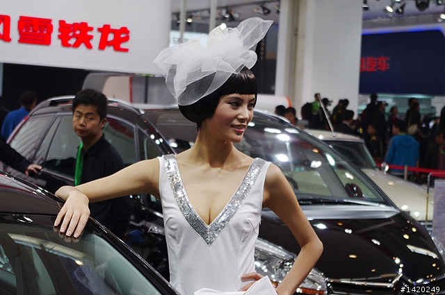 壓軸!2010北京國際車展SG照片分享