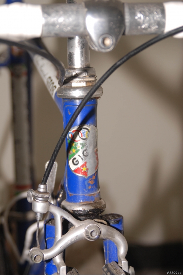 我們家"查某人"的生日禮物-1979 GIOS torino 鋼管之新生