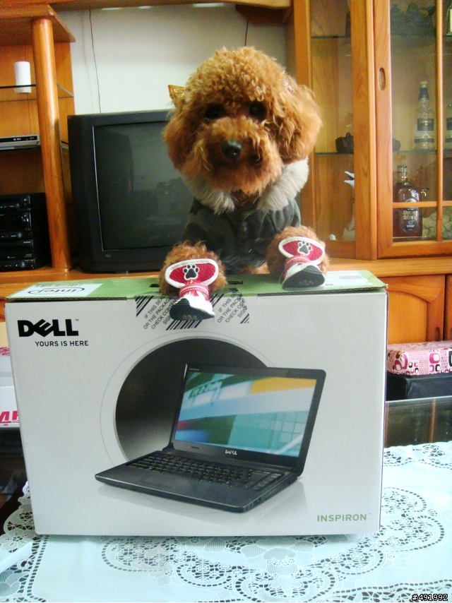 (開箱文)DELL 1464 i3-330(有請國際模特兒狗入鏡)