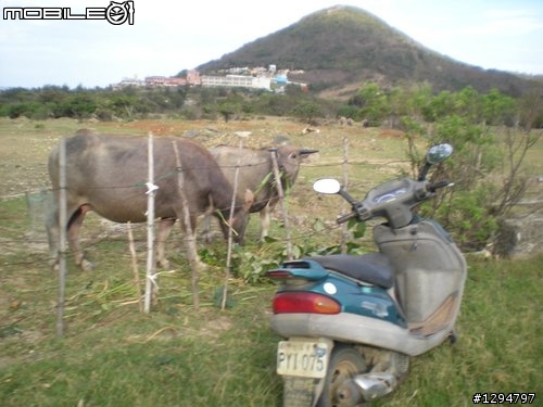 0501圓點盃-墾丁瘋狂大賽車-完成