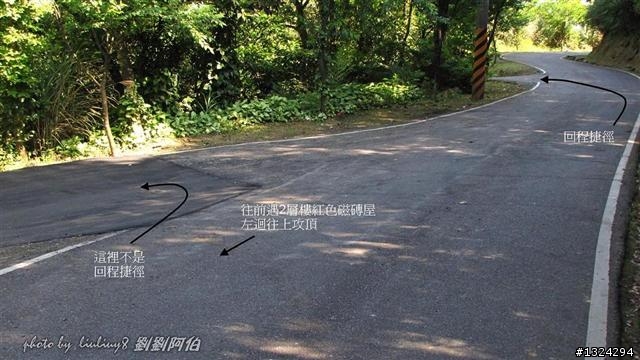 桃源谷-草嶺古道啞口越嶺
