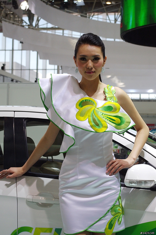 壓軸!2010北京國際車展SG照片分享