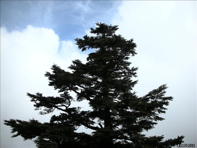 又敬又畏的武嶺—終於成行(女王篇)