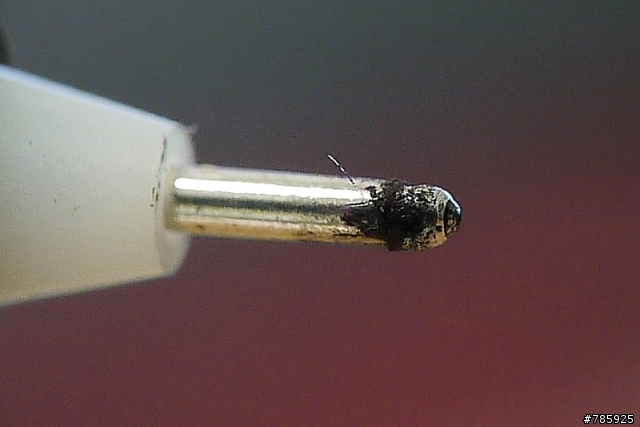 GF1+20mm/f1.7+Nikon 35mm/f2.8手動鏡=Macro