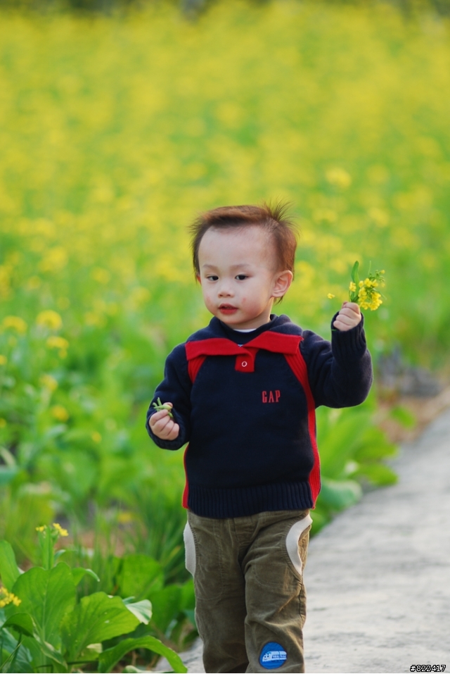 分享你的 "散景像溶化的奶油" 相片