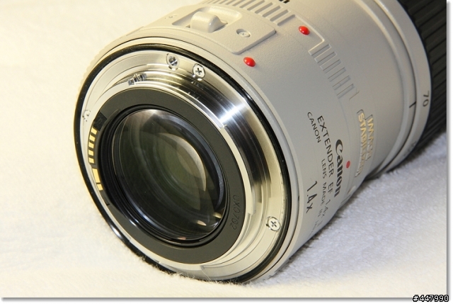 Canon望遠小幫手 - EF 1.4X II 分享