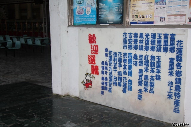 追尋夢土,騎向洄瀾(花蓮)單車之旅