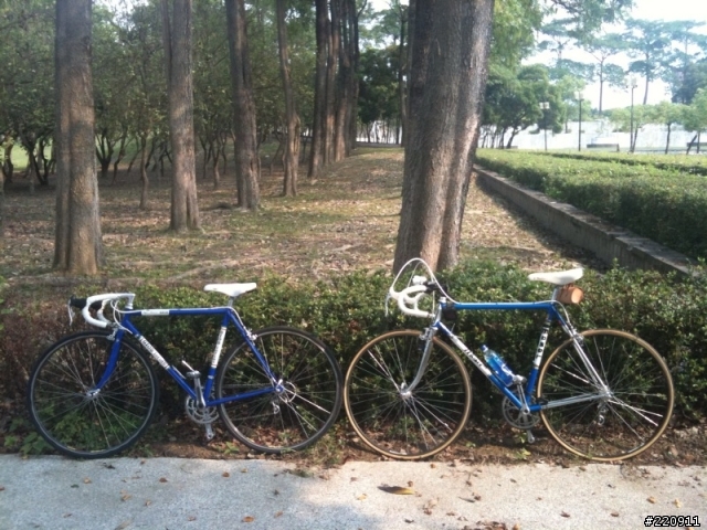 我們家"查某人"的生日禮物-1979 GIOS torino 鋼管之新生