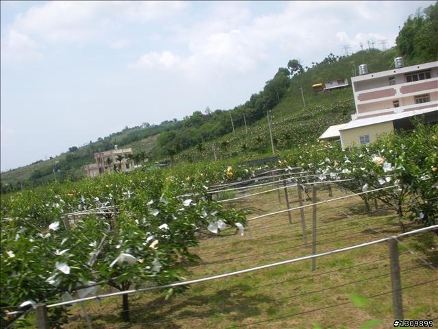 『2010飛輪九九 梧桐映雪 大雪山自行車挑戰賽』