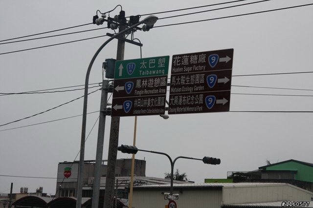 追尋夢土,騎向洄瀾(花蓮)單車之旅