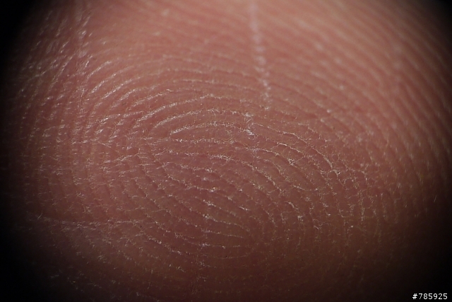 GF1+20mm/f1.7+Nikon 35mm/f2.8手動鏡=Macro