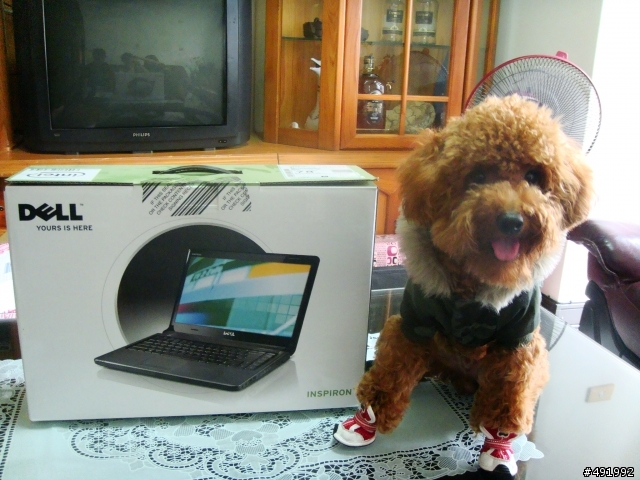 (開箱文)DELL 1464 i3-330(有請國際模特兒狗入鏡)