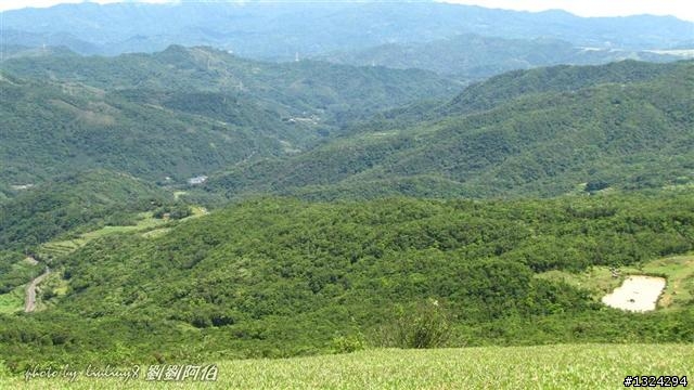 桃源谷-草嶺古道啞口越嶺