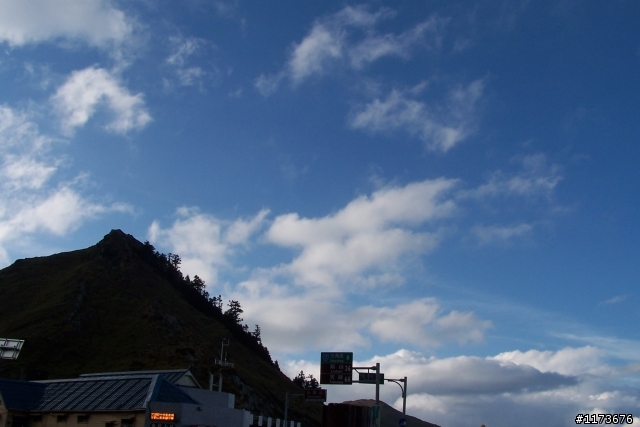 合歡山、玉山杜鵑與藍小飛