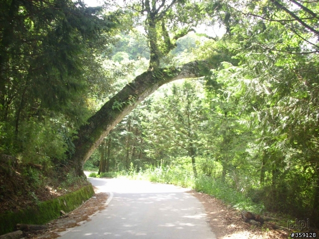 2010-05-22 地獄鄉道 投89 力行產業道路