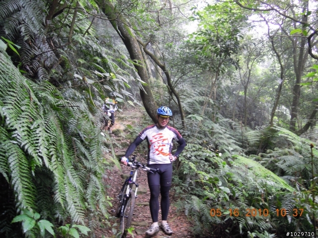 不一樣的週日五指山巡山記....