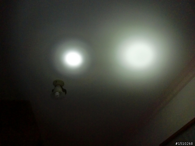 低調手電筒: UltraFire Cree C8 & Fenix TK11 分享
