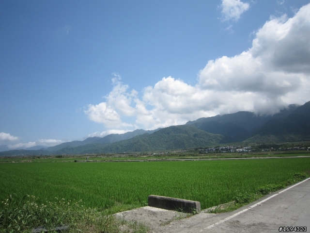 花東縱谷~~~綠色騎跡