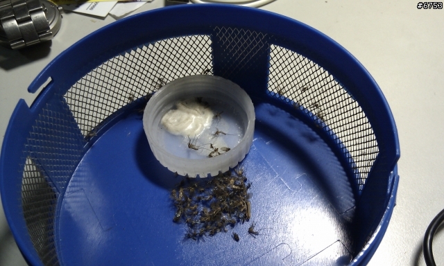 捕蚊達人光觸媒滅蚊器的二代機開箱及40天測試