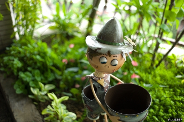 Leica 35mm鏡頭測試