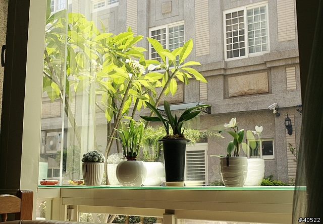 懶人花圃DIY 第二集 (空中迷你花圃)