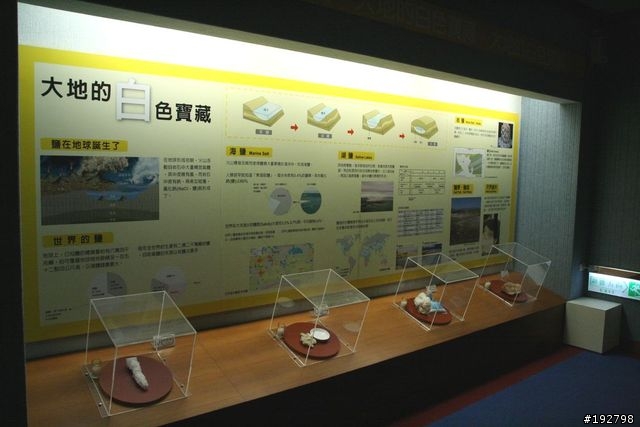 台南二一遊~爆胎、撲空、啤酒大金剛、台鹽博物館~