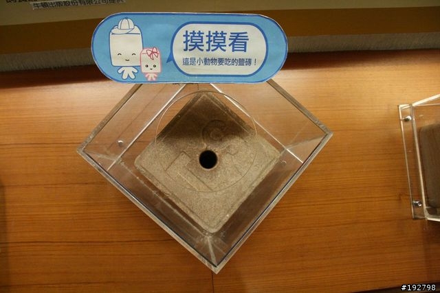 台南二一遊~爆胎、撲空、啤酒大金剛、台鹽博物館~