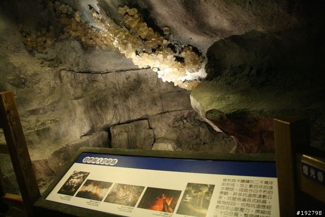 台南二一遊~爆胎、撲空、啤酒大金剛、台鹽博物館~
