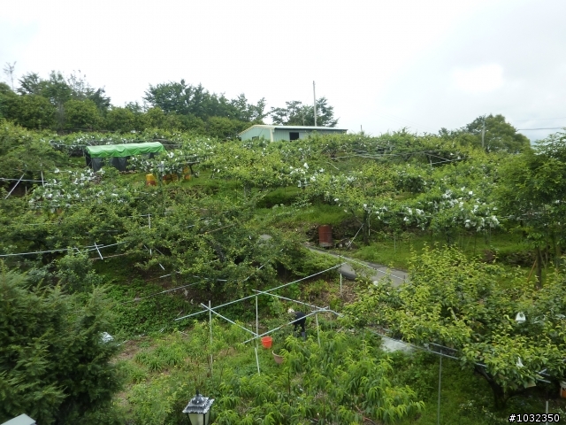 東邪西毒---二日東進西進武嶺
