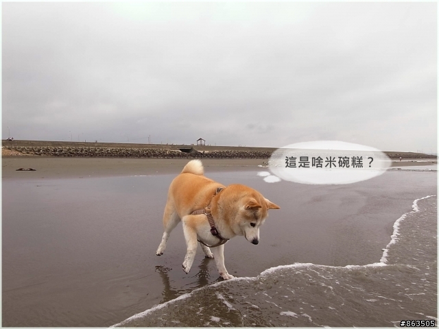 【二連發】柑妹下海趣