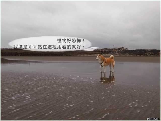 【二連發】柑妹下海趣
