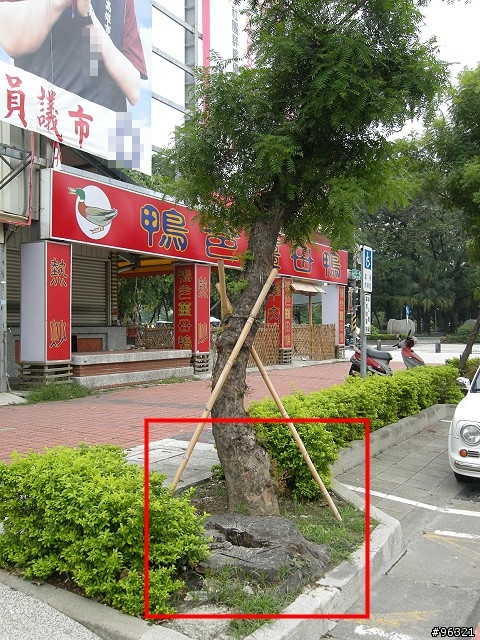 一個愛砍樹的城市!!一年後update~
