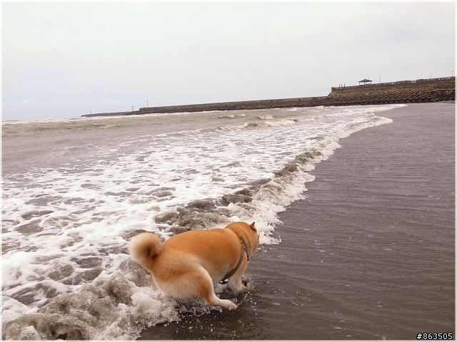 【二連發】柑妹下海趣