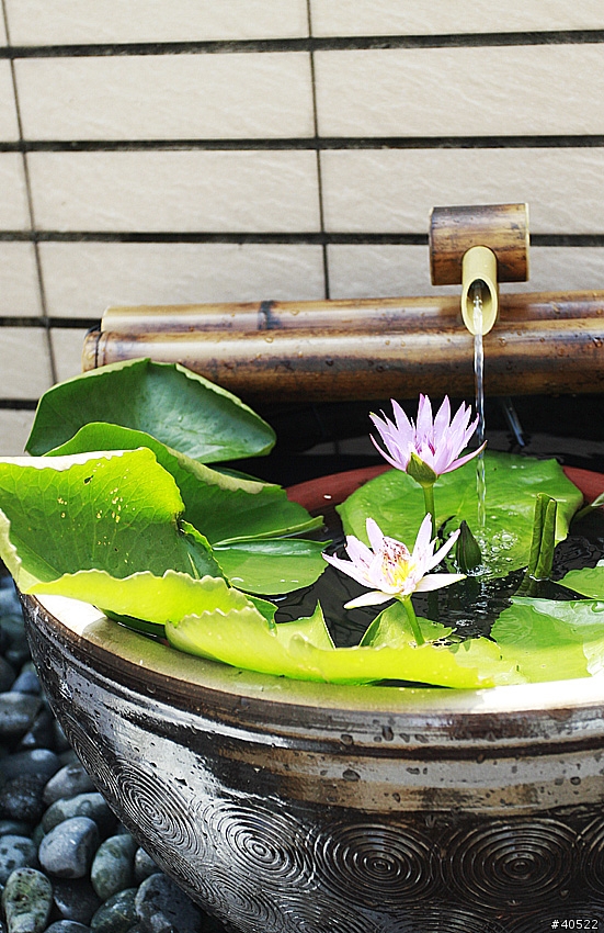 懶人花圃DIY 第二集 (空中迷你花圃)