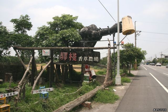 台南二一遊~爆胎、撲空、啤酒大金剛、台鹽博物館~