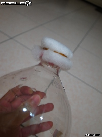 『DIY』貓咪飲水過濾器