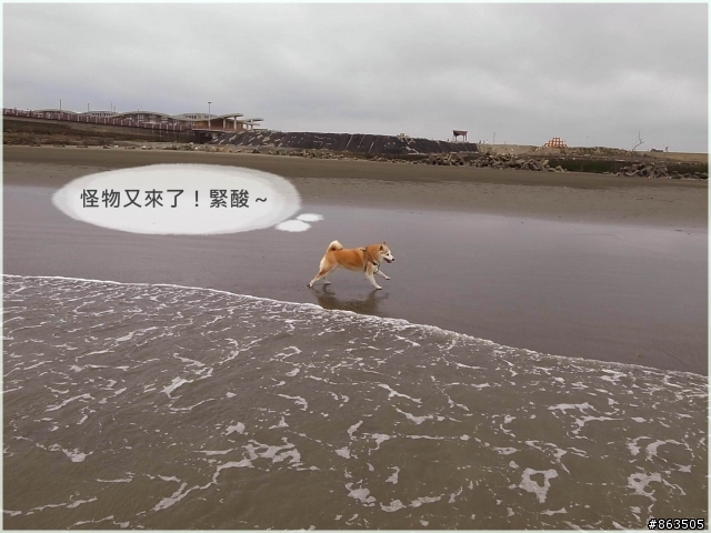 【二連發】柑妹下海趣