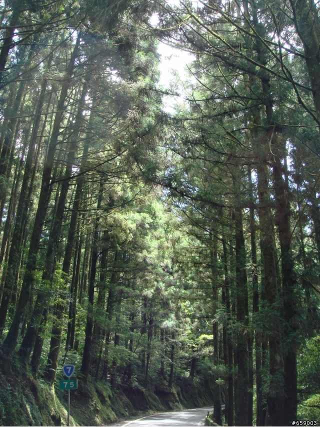 算是破300K的北橫一日遊