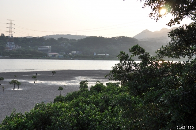 Carl Zeiss ZF2 28mm f2 貼圖