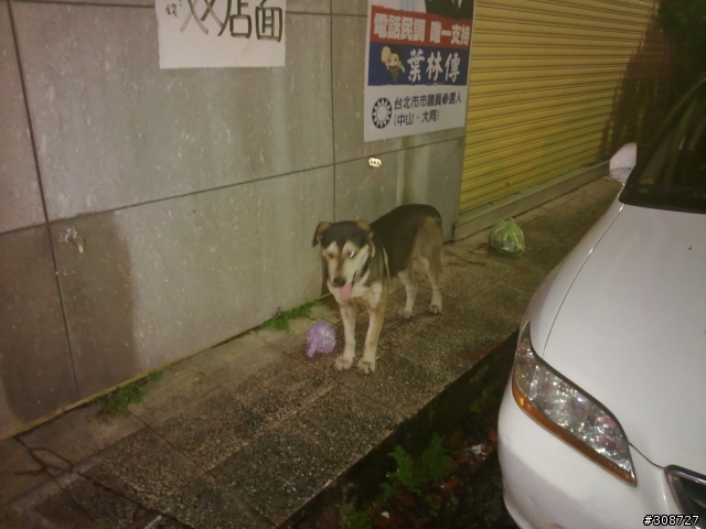 幫個忙~認狗&推薦飼料(更新圖片6/15)